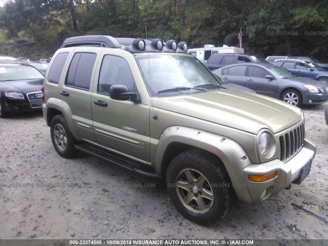 1J4GL38K43W567658 - 2003 JEEP LIBERTY RENEGADE GREEN photo 1