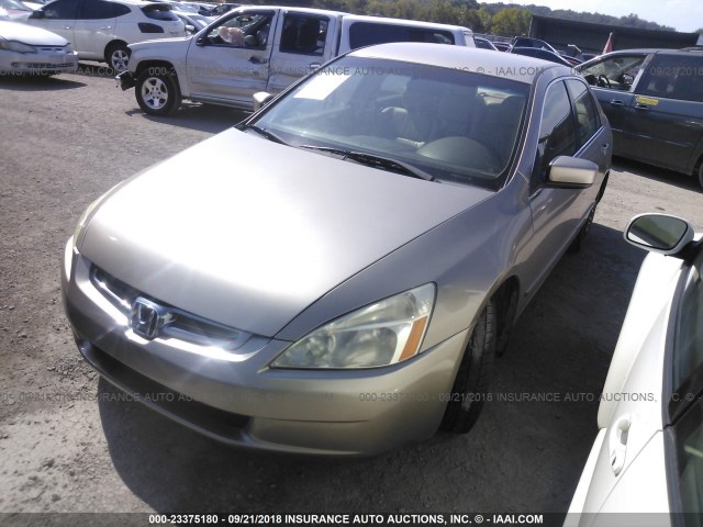 JHMCN36475C008384 - 2005 HONDA ACCORD HYBRID BEIGE photo 2