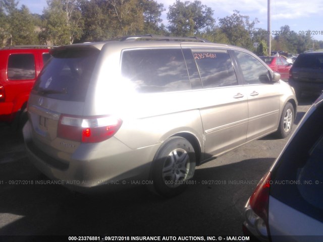 5FNRL38655B048434 - 2005 HONDA ODYSSEY EXL GOLD photo 4