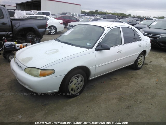 3FAFP13P42R149542 - 2002 FORD ESCORT WHITE photo 2