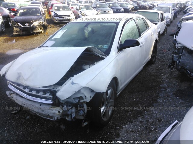 1G1ZH57B39F127395 - 2009 CHEVROLET MALIBU 1LT WHITE photo 2