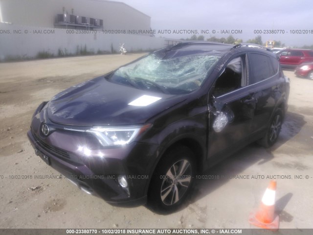 2T3WFREV8JW428669 - 2018 TOYOTA RAV4 ADVENTURE/XLE 栗色 照片 2