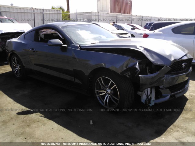 1FA6P8TH7H5292014 - 2017 FORD MUSTANG GRAY photo 1