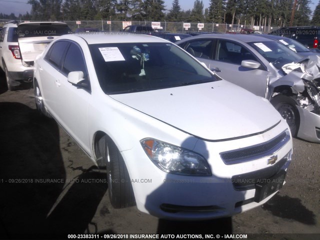 1G1ZD5EU1BF356101 - 2011 CHEVROLET MALIBU 2LT WHITE photo 1