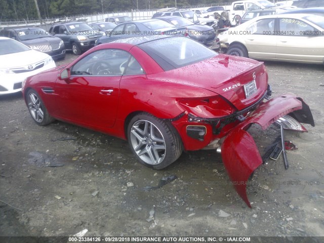 WDDPK4HA5DF068638 - 2013 MERCEDES-BENZ SLK 250 RED photo 3