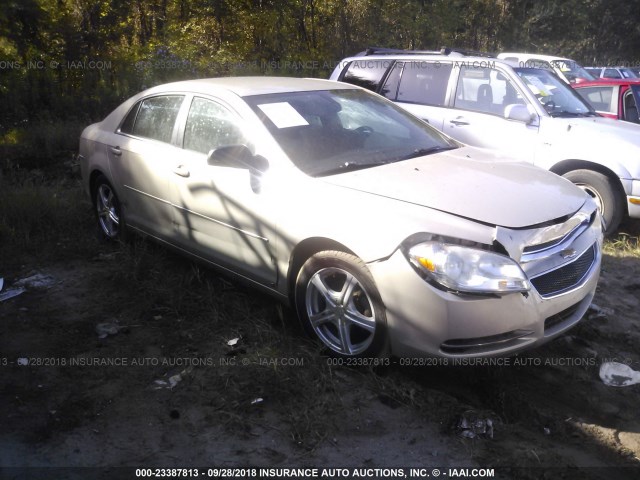 1G1ZG57B39F149593 - 2009 CHEVROLET MALIBU LS 金色 照片 1