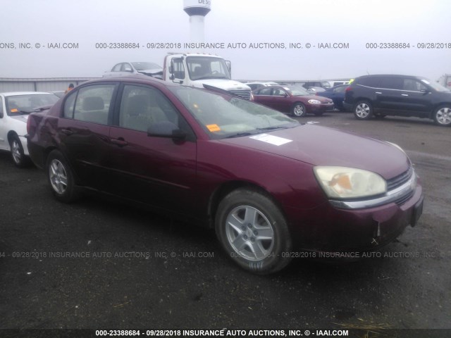 1G1ZT54894F211298 - 2004 CHEVROLET MALIBU LS 栗色 照片 1