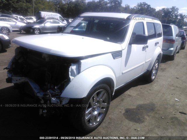 1D4PT4GK5BW589294 - 2011 DODGE NITRO HEAT WHITE photo 2