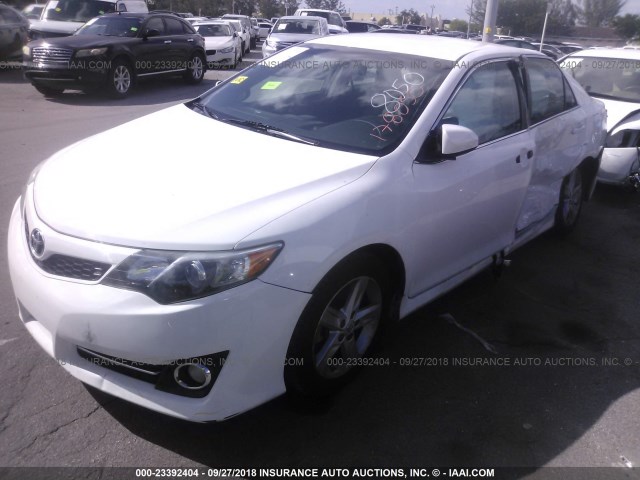 4T1BF1FK5CU178050 - 2012 TOYOTA CAMRY SE/LE/XLE თეთრი ფოტო 2