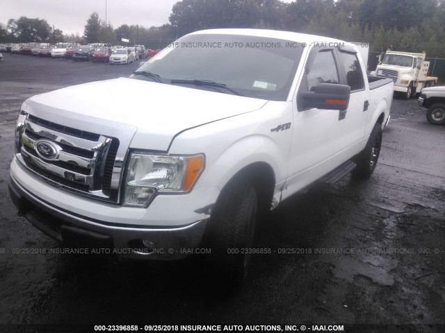 1FTFW1EF1CFB37364 - 2012 FORD F150 SUPERCREW WHITE photo 2