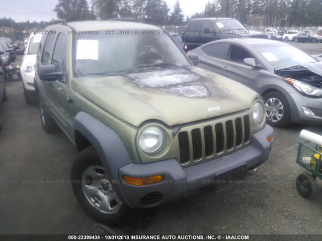 1J4GL48K33W734369 - 2003 JEEP LIBERTY SPORT/FREEDOM GREEN photo 1