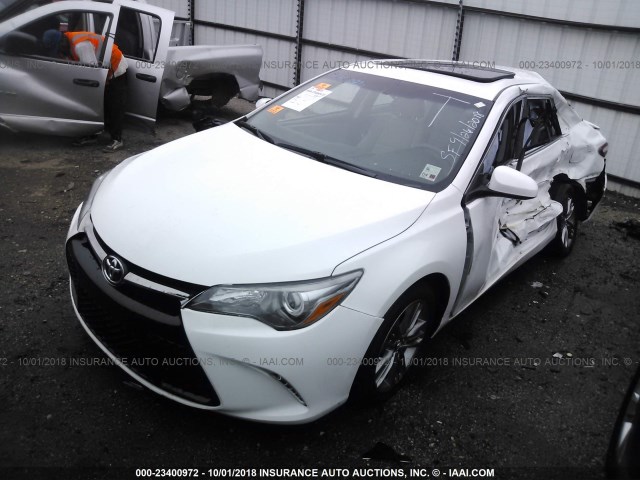 4T1BF1FK6GU212258 - 2016 TOYOTA CAMRY LE/XLE/SE/XSE 白色 照片 2