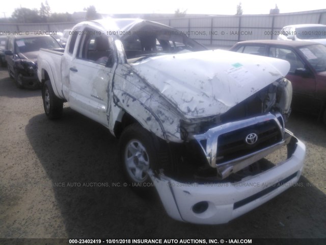 5TEUX42N96Z252772 - 2006 TOYOTA TACOMA ACCESS CAB Սպիտակ լուսանկար 1