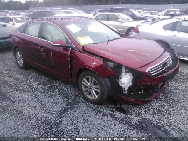 5NPE24AA0FH145680 - 2015 HYUNDAI SONATA ECO RED photo 1