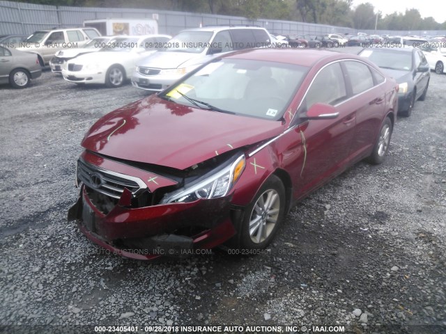 5NPE24AA0FH145680 - 2015 HYUNDAI SONATA ECO RED photo 2