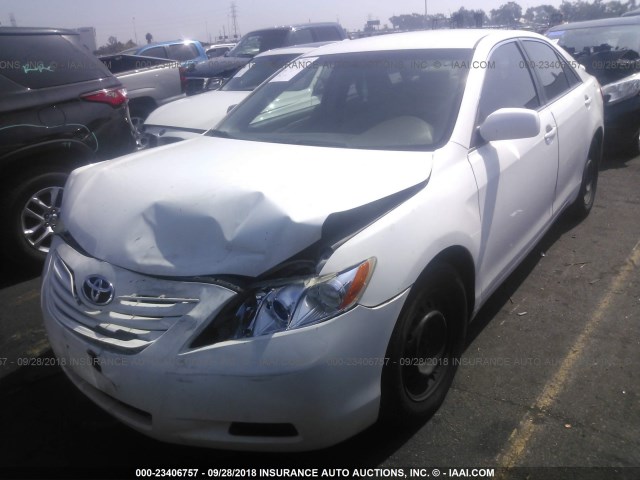 4T1BE46K09U812930 - 2009 TOYOTA CAMRY SE/LE/XLE თეთრი ფოტო 2