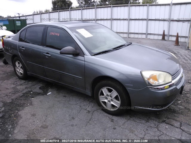 1G1ZT54855F110308 - 2005 CHEVROLET MALIBU LS ნაცრისფერი ფოტო 1