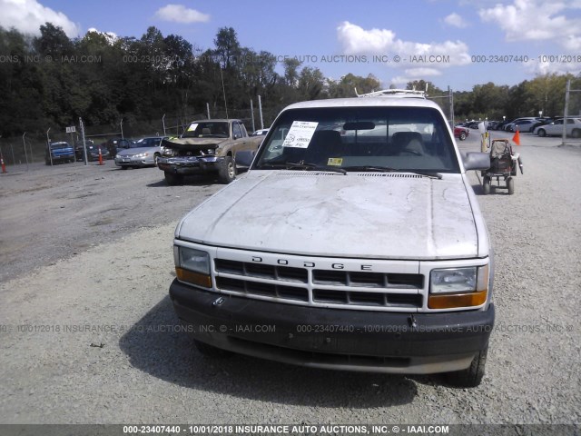 1B7GG23X4RW149178 - 1994 DODGE DAKOTA WHITE photo 6