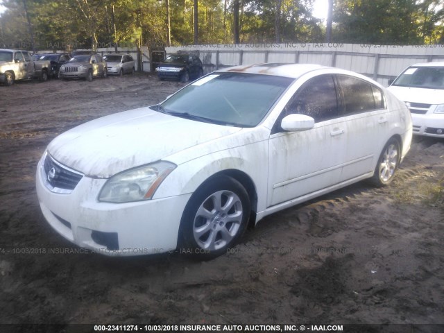 1N4BA41E87C807212 - 2007 NISSAN MAXIMA SE/SL WHITE photo 2