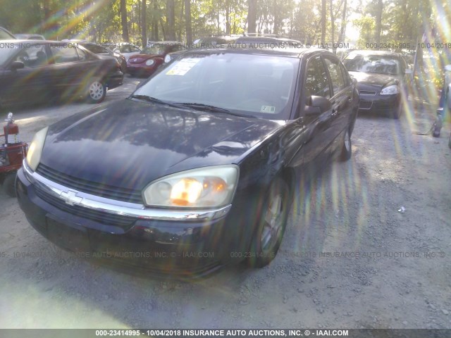 1G1ZT54804F104592 - 2004 CHEVROLET MALIBU LS ლურჯი ფოტო 2