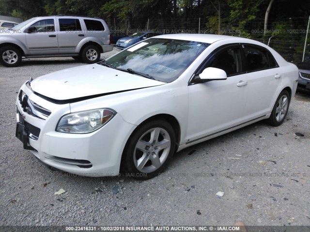 1G1ZH57B39F121225 - 2009 CHEVROLET MALIBU 1LT თეთრი ფოტო 2