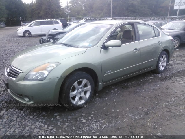 1N4CL21E67C232191 - 2007 NISSAN ALTIMA HYBRID GREEN photo 2