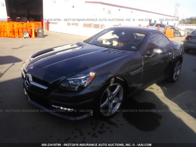 WDDPK3JA4GF122858 - 2016 MERCEDES-BENZ SLK 300 GRAY photo 2