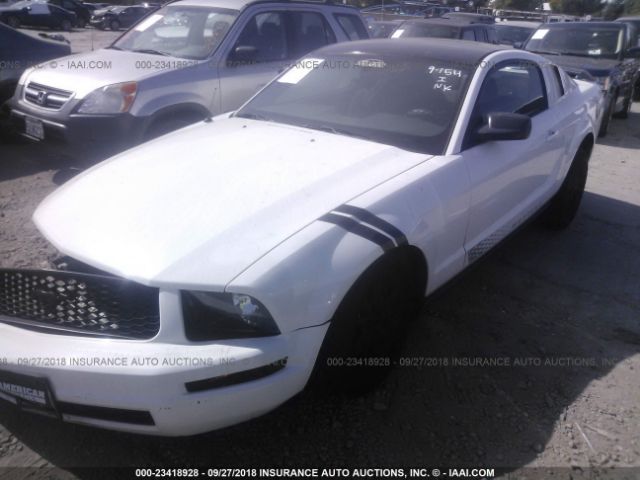 1ZVFT80N555107483 - 2005 FORD MUSTANG WHITE photo 2