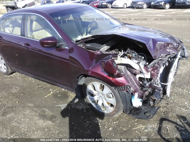 JHMCP26898C079632 - 2008 HONDA ACCORD EXL MAROON photo 6