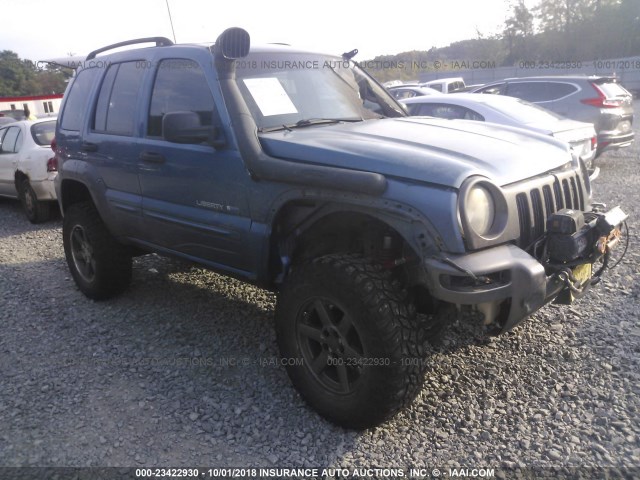 1J4GL48K13W663334 - 2003 JEEP LIBERTY SPORT/FREEDOM BLUE photo 1