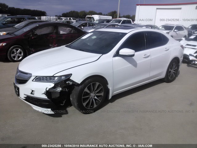 19UUB1F34FA004057 - 2015 ACURA TLX WHITE photo 2