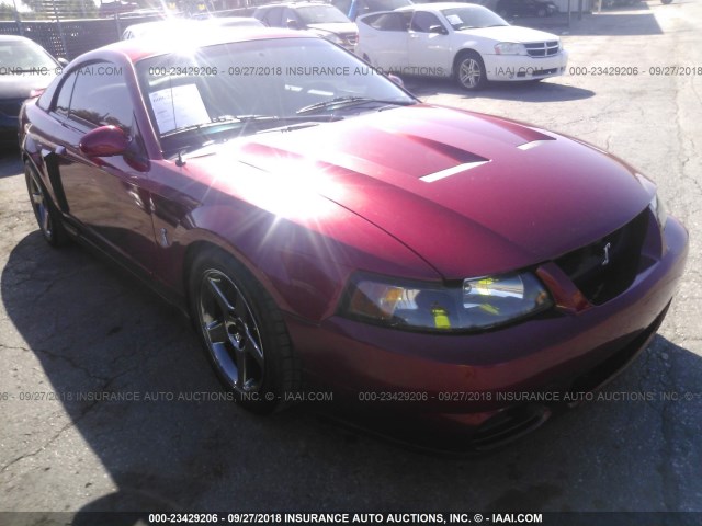 1FAFP48Y33F387609 - 2003 FORD MUSTANG COBRA SVT MAROON photo 1