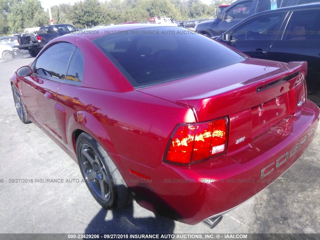 1FAFP48Y33F387609 - 2003 FORD MUSTANG COBRA SVT MAROON photo 3