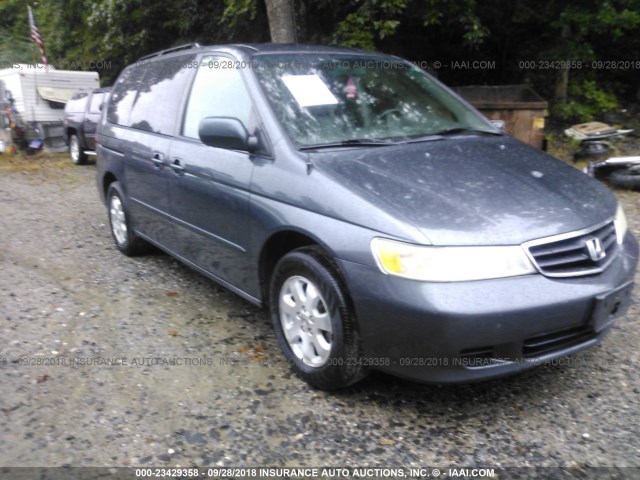 5FNRL18044B096831 - 2004 HONDA ODYSSEY EXL GRAY photo 1