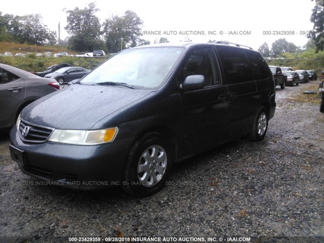 5FNRL18044B096831 - 2004 HONDA ODYSSEY EXL GRAY photo 2