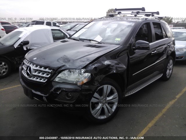 4JGBB8GB5BA744422 - 2011 MERCEDES-BENZ ML 350 4MATIC BLACK photo 2