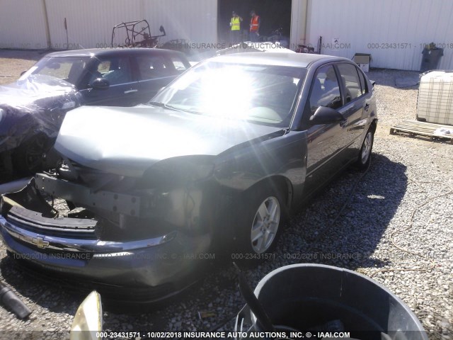 1G1ZT54835F264502 - 2005 CHEVROLET MALIBU LS შამპანური ფოტო 2