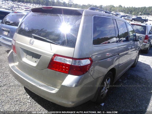 5FNRL38766B024962 - 2006 HONDA ODYSSEY EXL GOLD photo 4