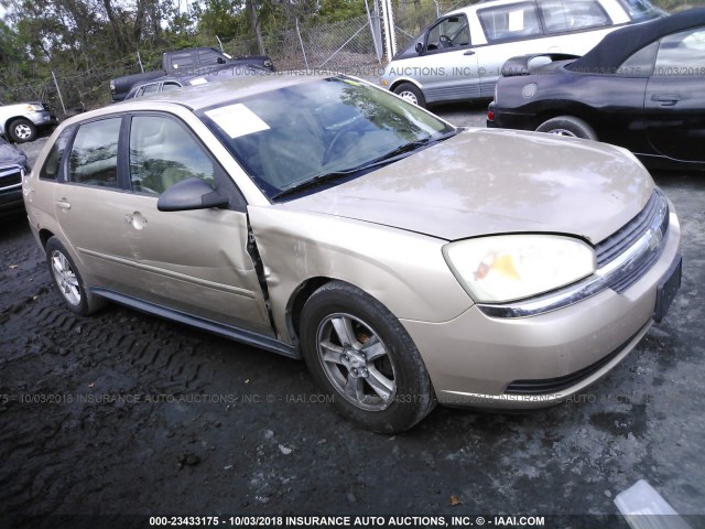 1G1ZT64874F149373 - 2004 CHEVROLET MALIBU MAXX LS GOLD photo 1