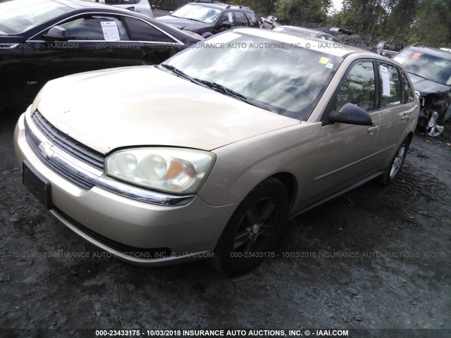 1G1ZT64874F149373 - 2004 CHEVROLET MALIBU MAXX LS GOLD photo 2