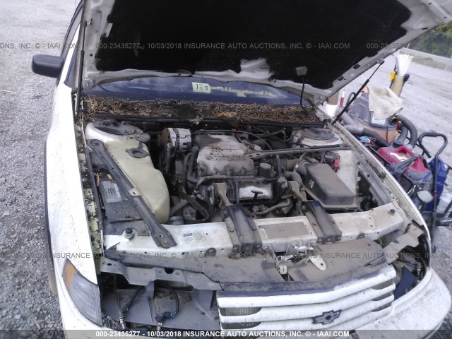 2G1WN54T5M9135850 - 1991 CHEVROLET LUMINA EURO WHITE photo 10