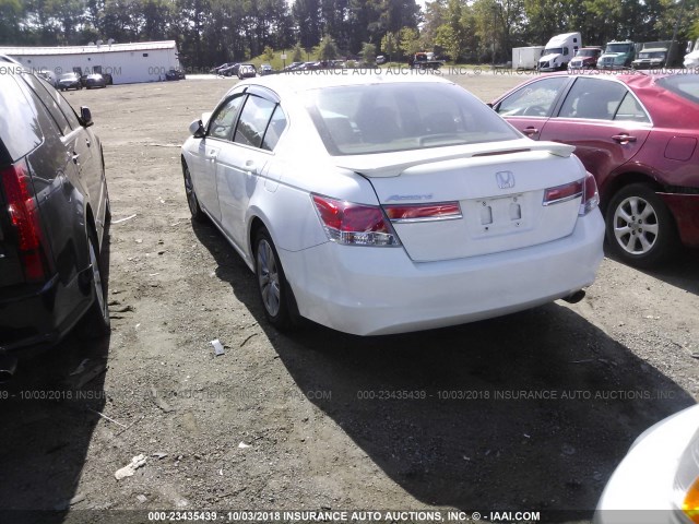 1HGCP2F84BA124675 - 2011 HONDA ACCORD EXL WHITE photo 3