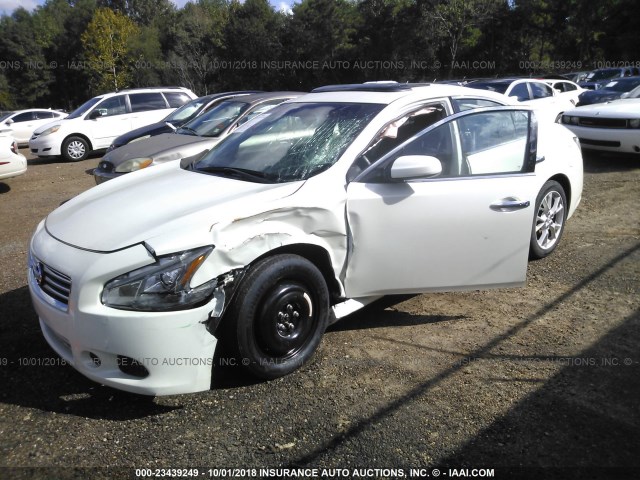 1N4AA5AP4EC905606 - 2014 NISSAN MAXIMA S/SV WHITE photo 2