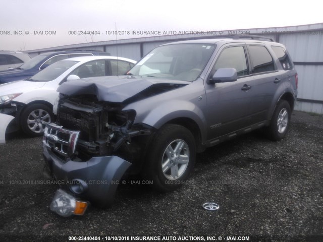 1FMCU49H98KC19049 - 2008 FORD ESCAPE HEV GRAY photo 2