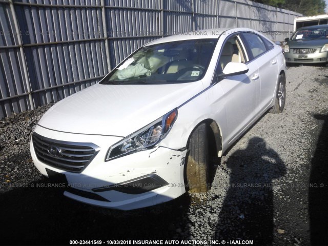 5NPE24AF9GH294392 - 2016 HYUNDAI SONATA SE WHITE photo 2