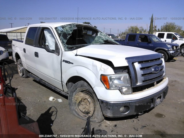 1FTFW1EF4CFC60804 - 2012 FORD F150 SUPERCREW WHITE photo 1