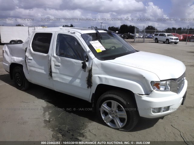 5FPYK16579B109518 - 2009 HONDA RIDGELINE RTL WHITE photo 1