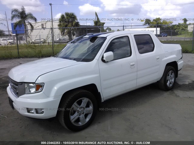 5FPYK16579B109518 - 2009 HONDA RIDGELINE RTL WHITE photo 2