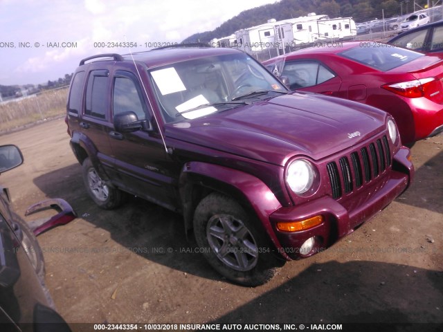 1J4GL58K23W692394 - 2003 JEEP LIBERTY LIMITED BURGUNDY photo 1