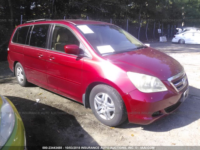 5FNRL38485B109063 - 2005 HONDA ODYSSEY EX RED photo 1